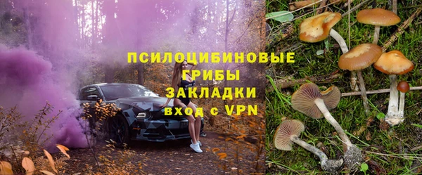 молекула духа Балахна