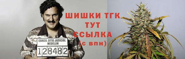 молекула духа Балахна