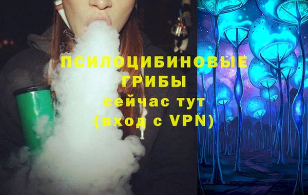 молекула духа Балахна