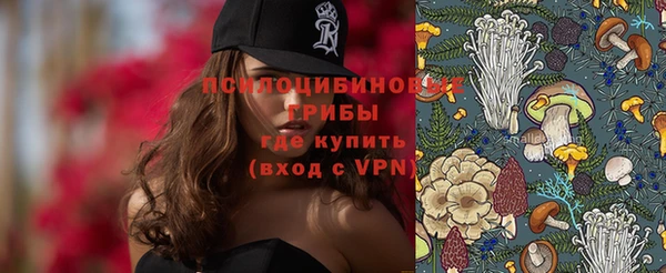 молекула духа Балахна