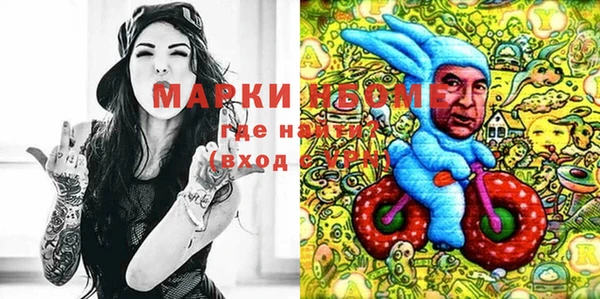 молекула духа Балахна