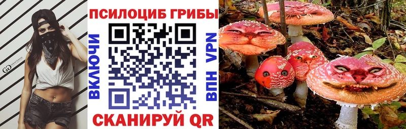 Псилоцибиновые грибы мицелий Белая Холуница